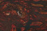 Polished Tiger Iron Stromatolite Slab - Billion Years #222102-1
